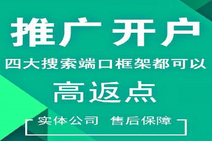 百度竞价排名案例解析：如何快速提升网站流量
